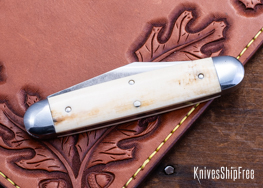 Mammoth Ivory - NW28CL021 (Back)