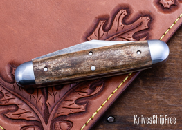 Mammoth Ivory - NW28CL029 (Back)