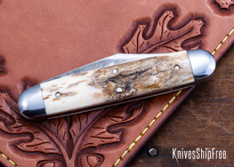 Mammoth Ivory - NW28CL064 (Back)