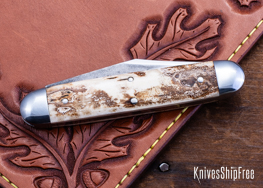 Mammoth Ivory - NW28CL080 (Back)