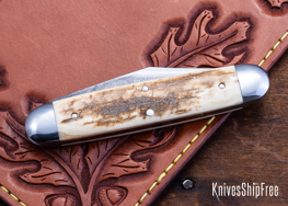 Mammoth Ivory - NW28CL085 (Back)