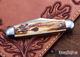 Mammoth Ivory - NW28CL087 (Back)