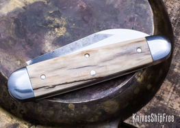 Mammoth Ivory - NW13KJ012 (Back)