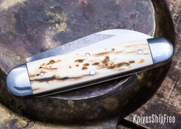 Mammoth Ivory - NW13KJ019 (Back)