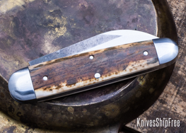 Mammoth Ivory - NW13KJ024 (Back)