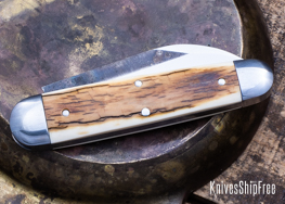 Mammoth Ivory - NW13KJ036 (Back)