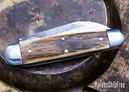 Mammoth Ivory - NW13KJ038 (Back)