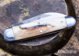 Mammoth Ivory - NW13KJ047 (Back)