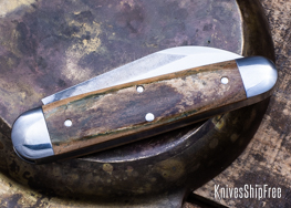 Mammoth Ivory - NW13KJ055 (Back)