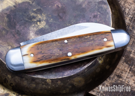 Mammoth Ivory - NW13KJ056 (Back)