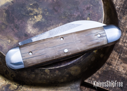 Mammoth Ivory - NW13KJ006 (Back)