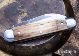 Mammoth Ivory - NW13KJ007 (Back)