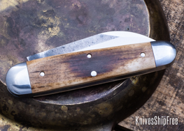 Mammoth Ivory - NW13KJ073 (Back)