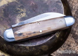 Mammoth Ivory - NW13KJ083 (Back)