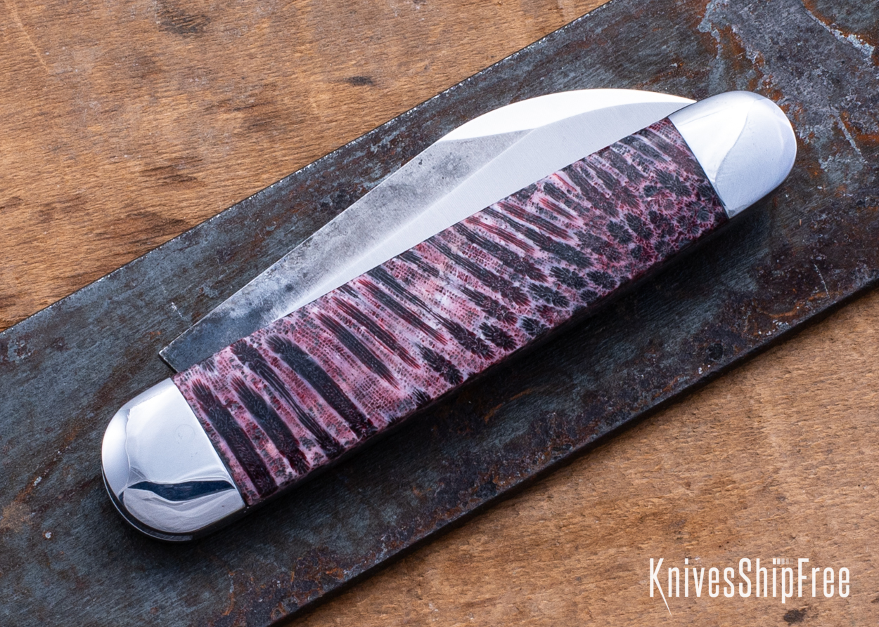 Stabilized Coral - NW12KJ011