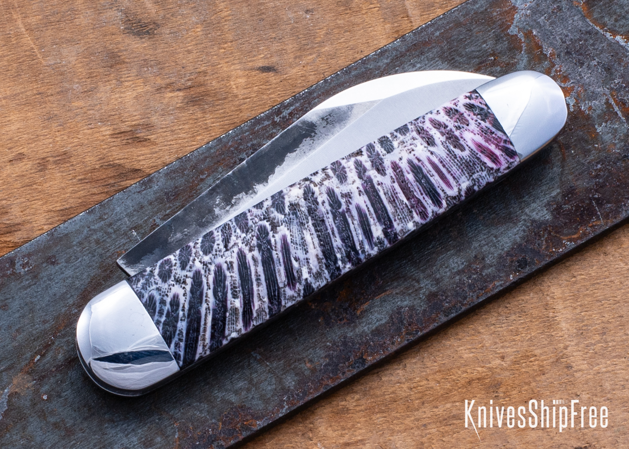 Stabilized Coral - NW12KJ026