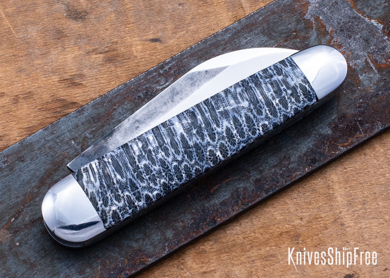 Stabilized Coral - NW12KJ033