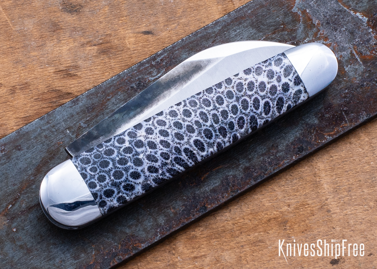 Stabilized Coral - NW12KJ034