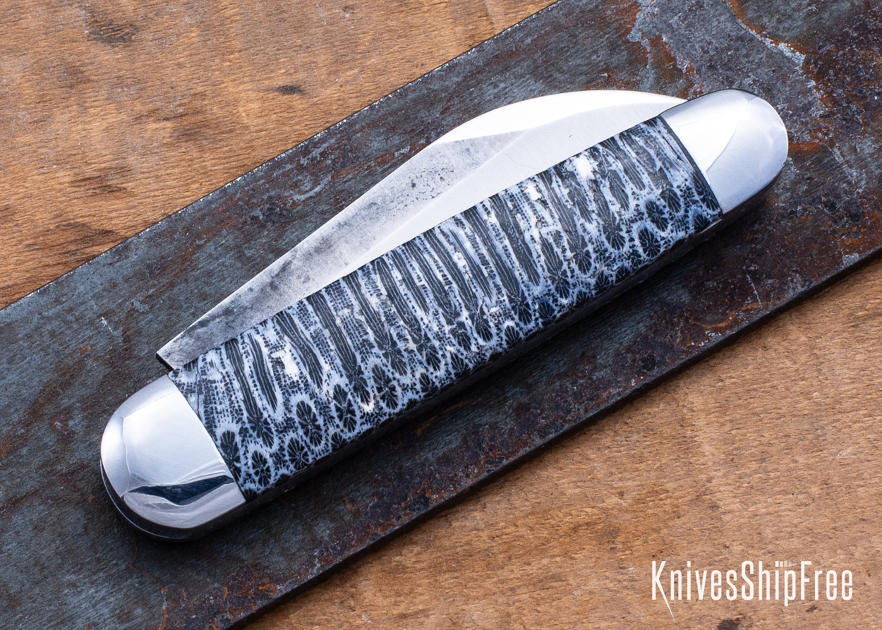 Stabilized Coral - NW12KJ042