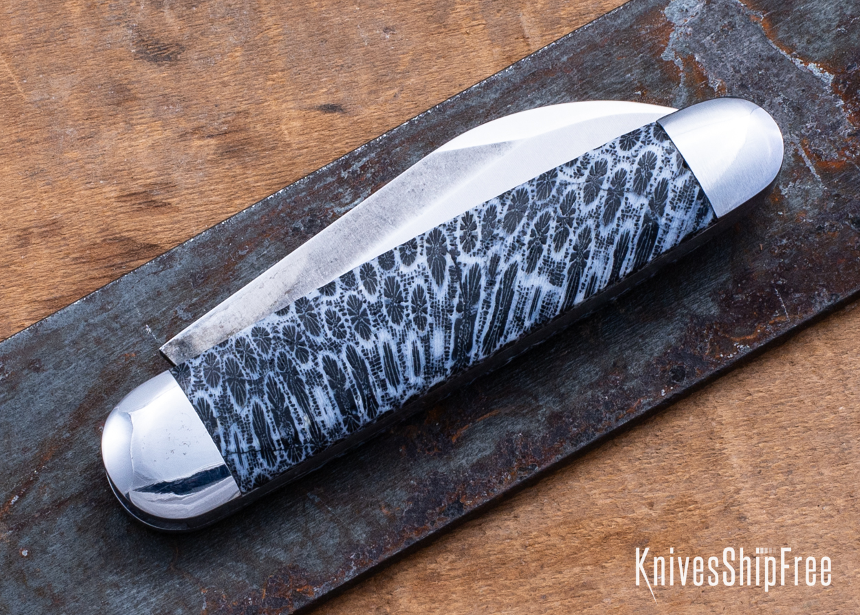 Stabilized Coral - NW12KJ006