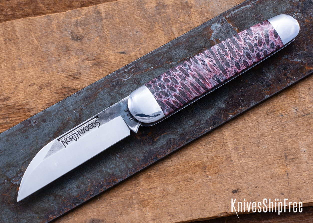 Stabilized Coral - NW12KJ011 (Front)