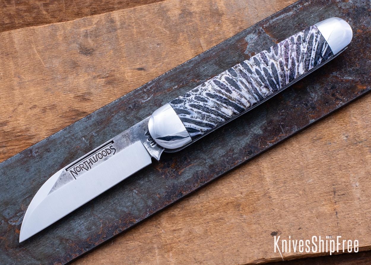 Stabilized Coral - NW12KJ015 (Front)