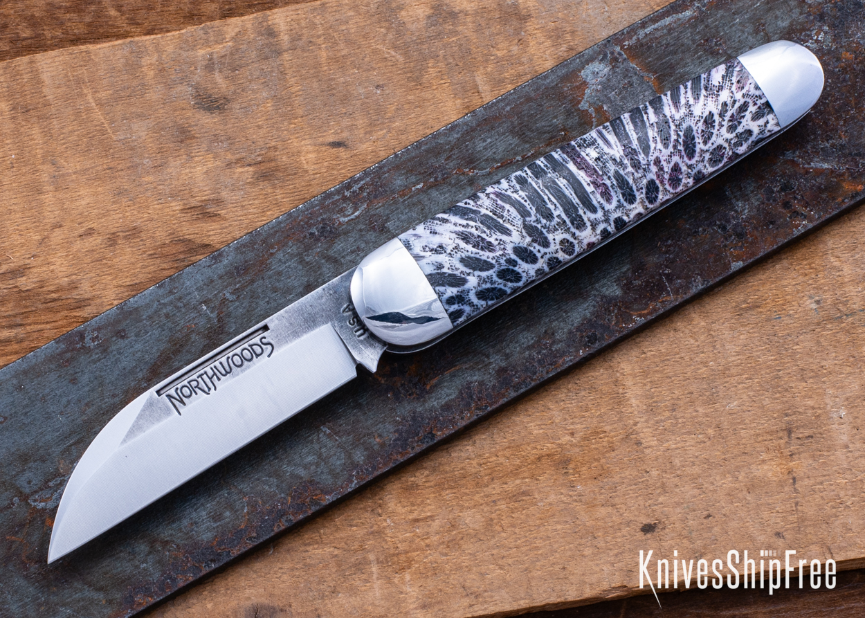 Stabilized Coral - NW12KJ016 (Front)