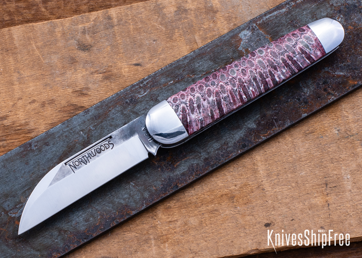 Stabilized Coral - NW12KJ017 (Front)