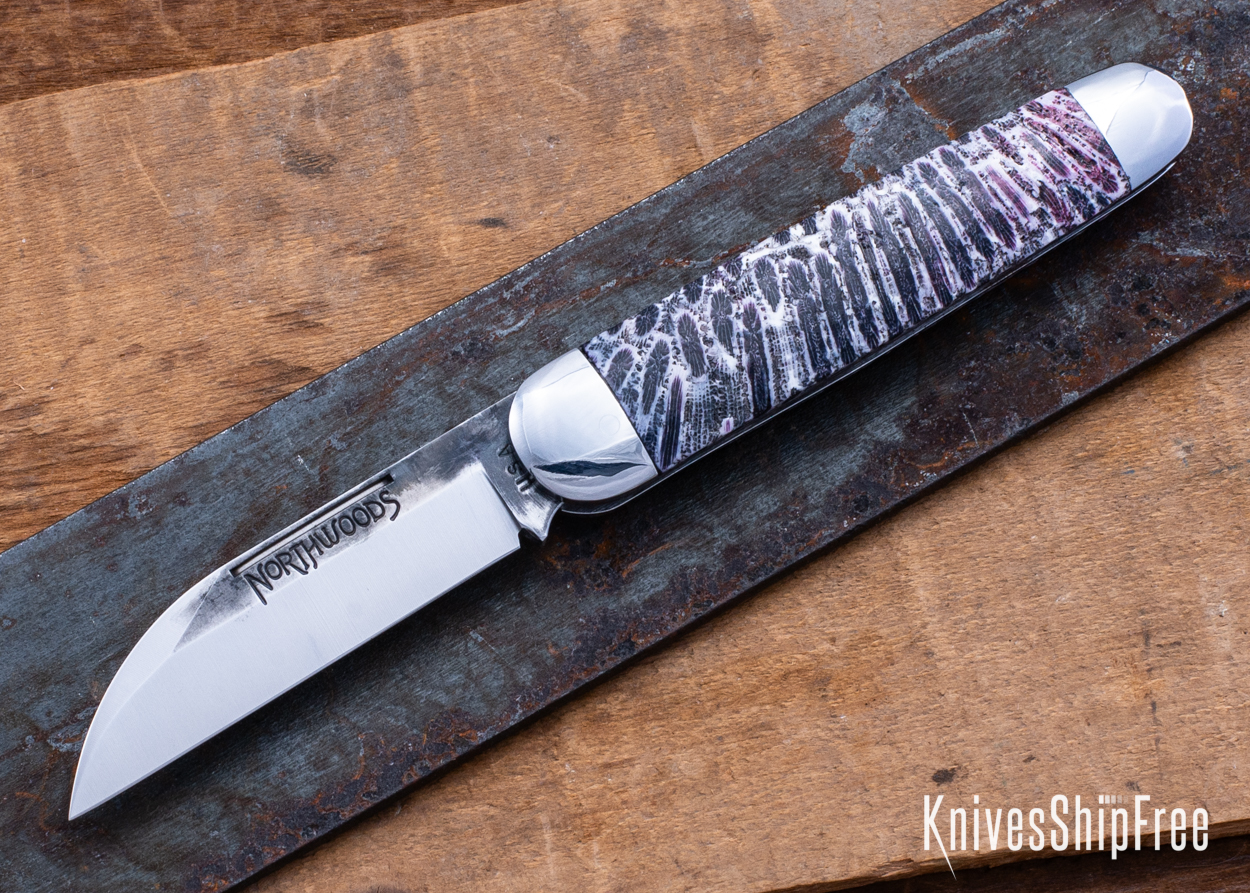 Stabilized Coral - NW12KJ026 (Front)