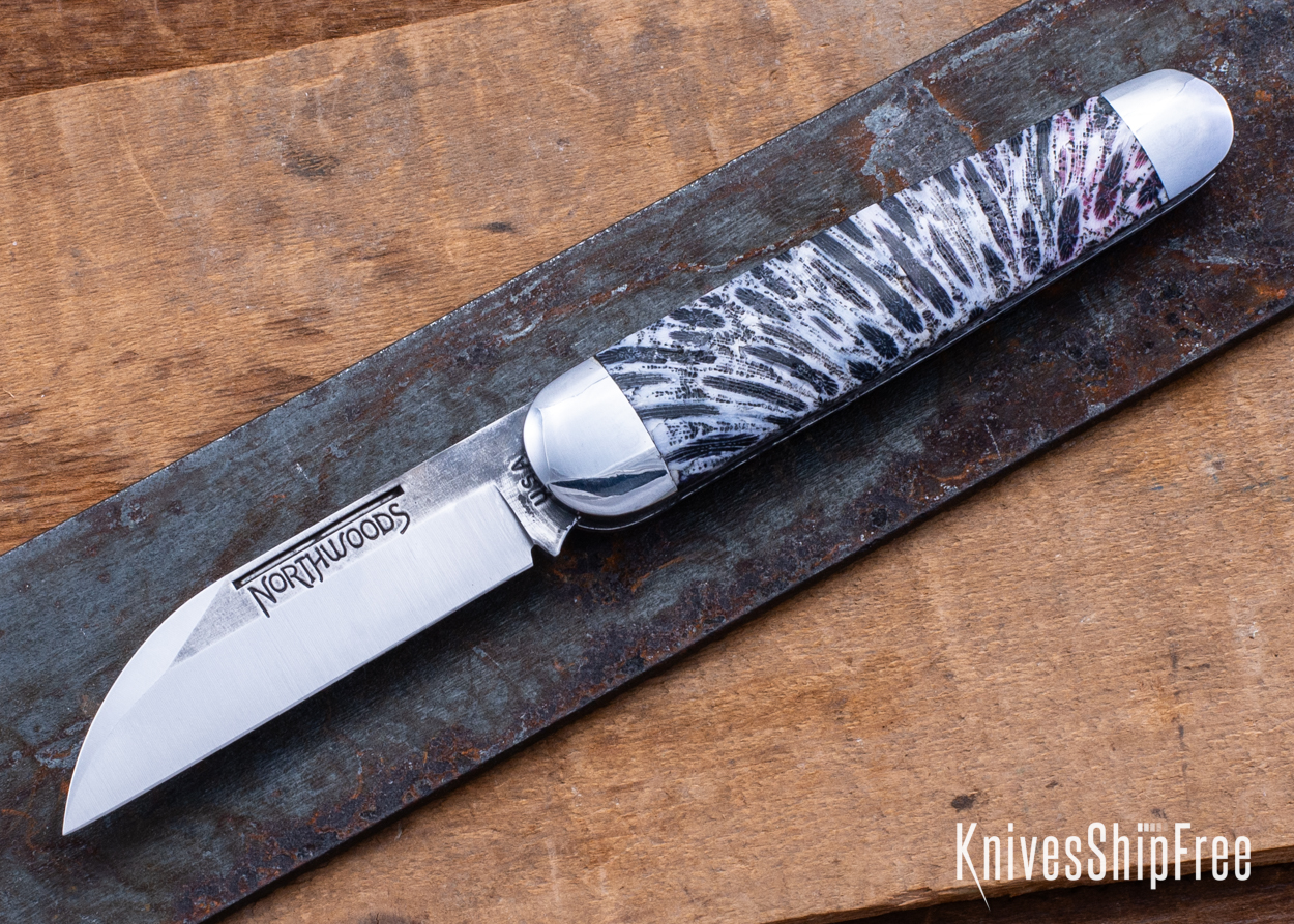 Stabilized Coral - NW12KJ003 (Front)