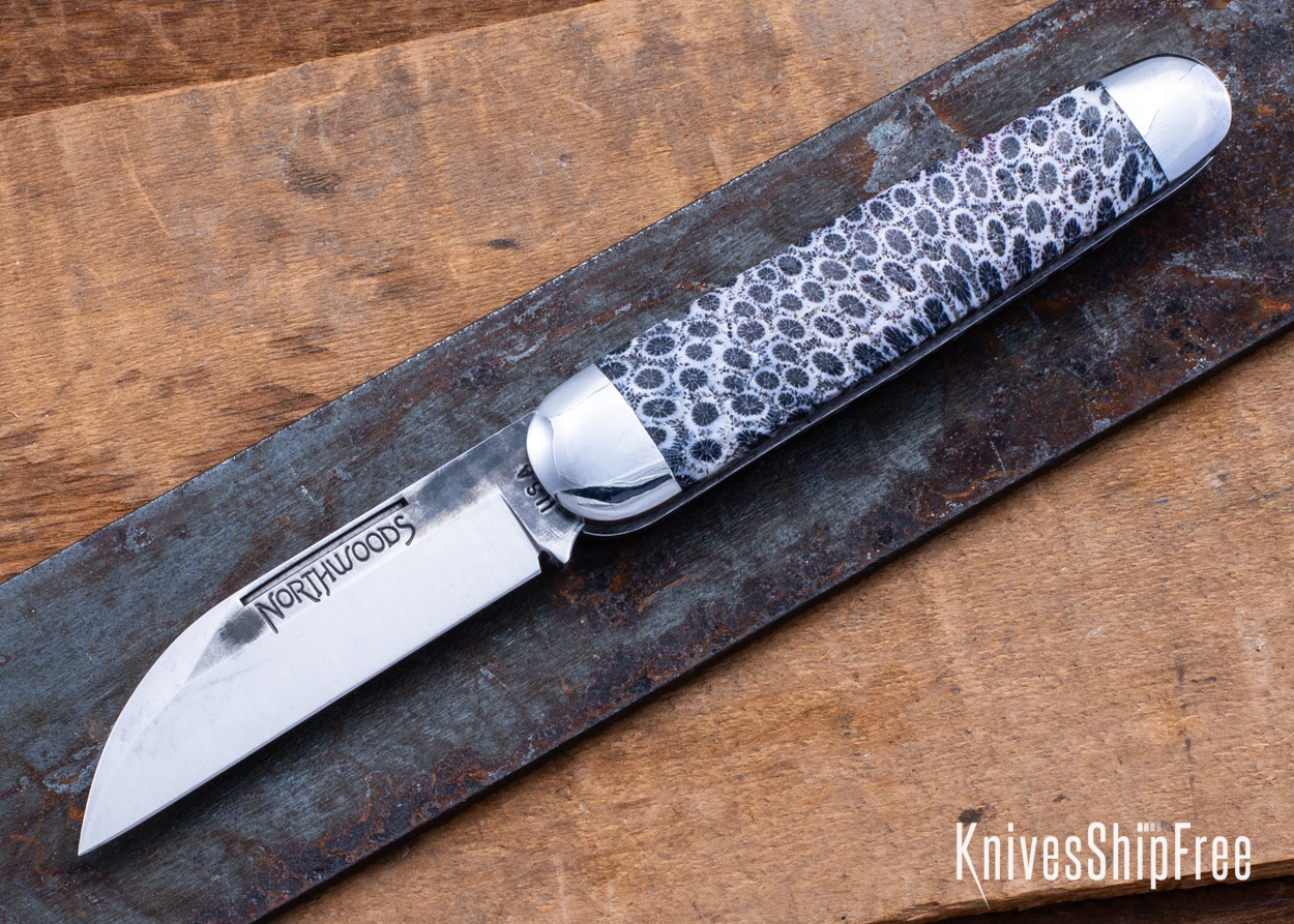 Stabilized Coral - NW12KJ034 (Front)