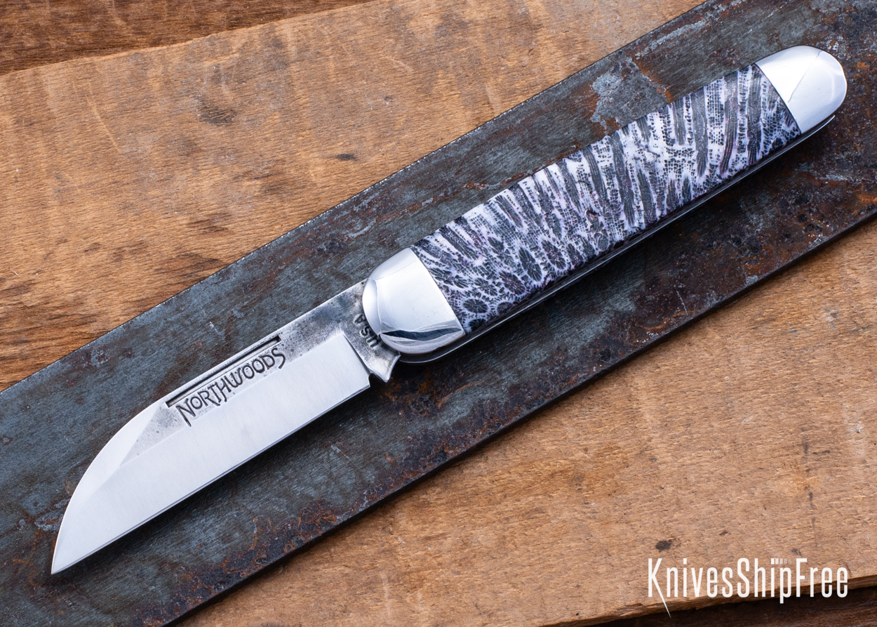 Stabilized Coral - NW12KJ043 (Front)