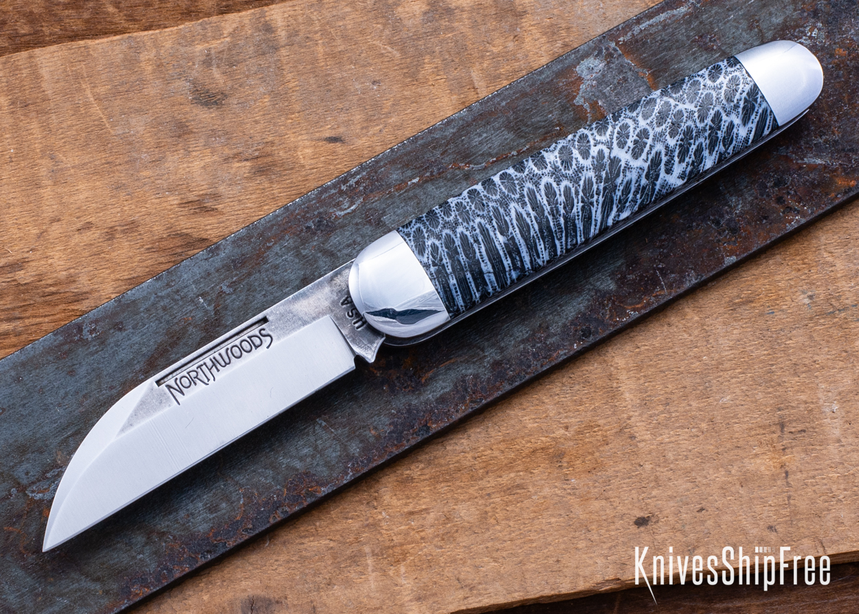 Stabilized Coral - NW12KJ006 (Front)