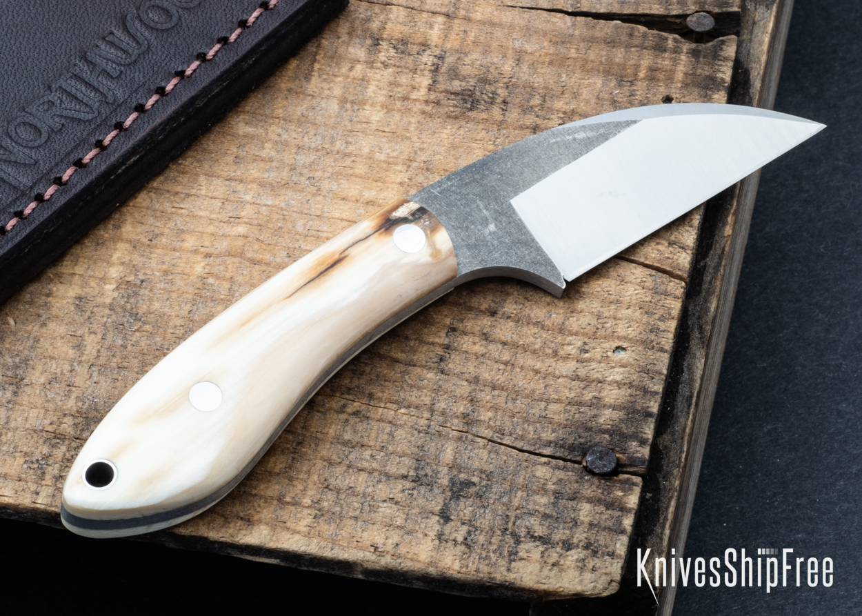 Mammoth Ivory - NW05DI010 (Back)