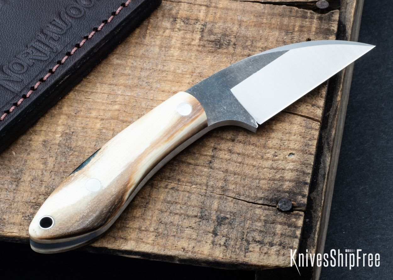 Mammoth Ivory - NW05DI013 (Back)