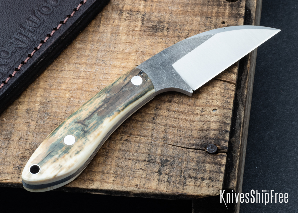 Mammoth Ivory - NW05DI002 (Back)