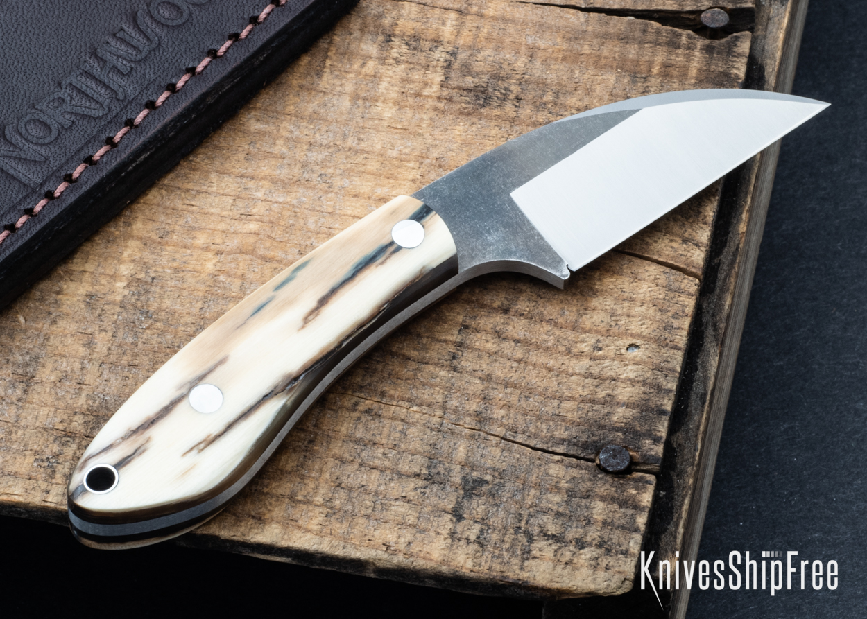 Mammoth Ivory - NW05DI022 (Back)