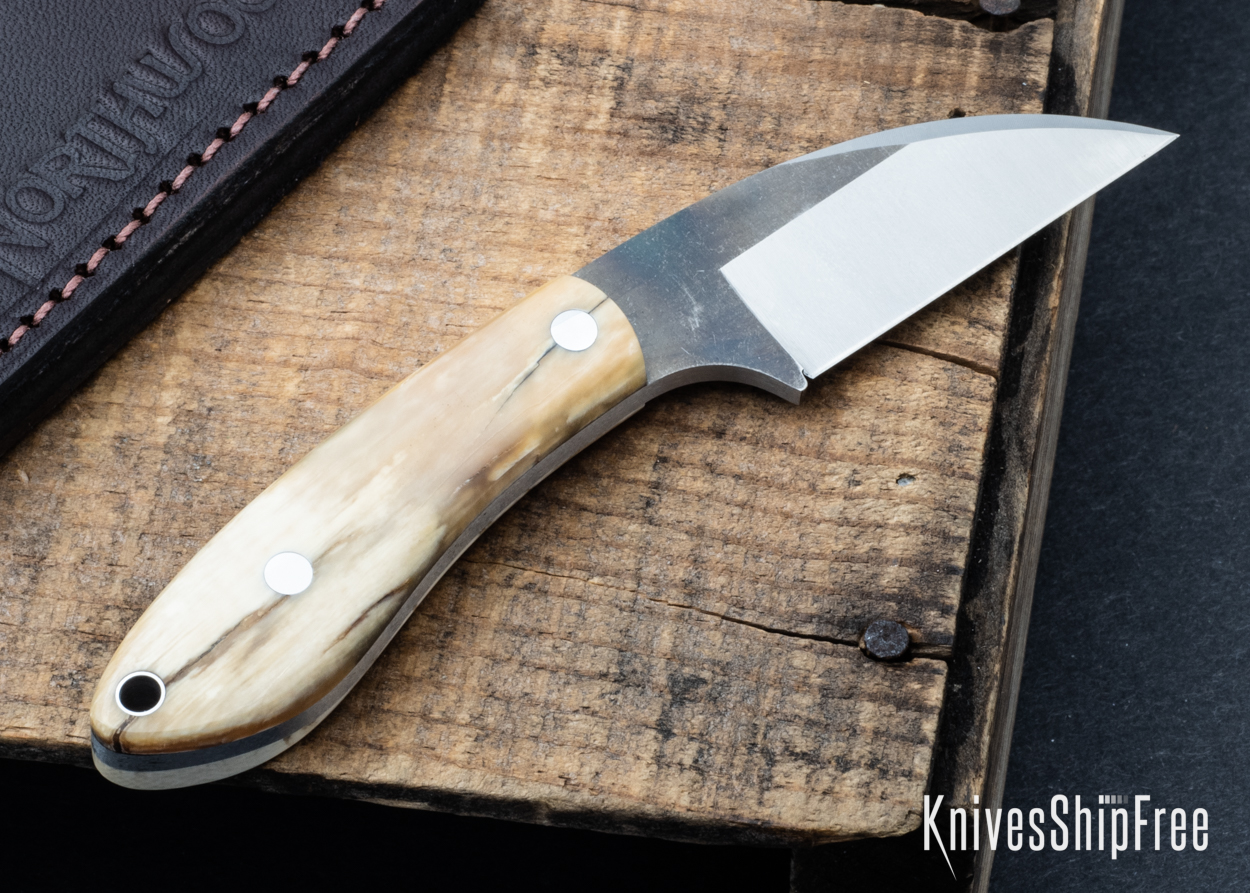 Mammoth Ivory - NW05DI028 (Back)