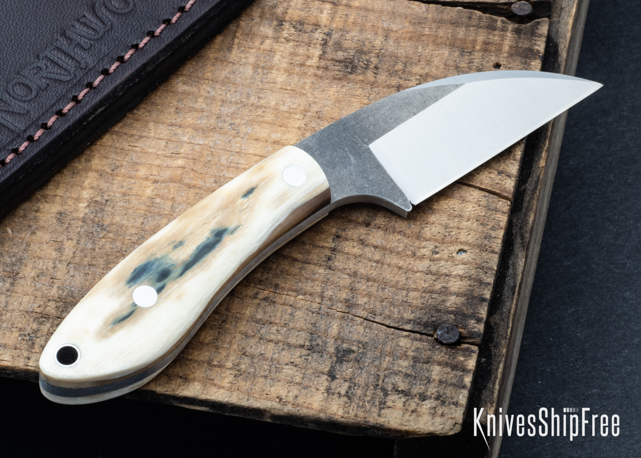 Mammoth Ivory - NW05DI003 (Back)