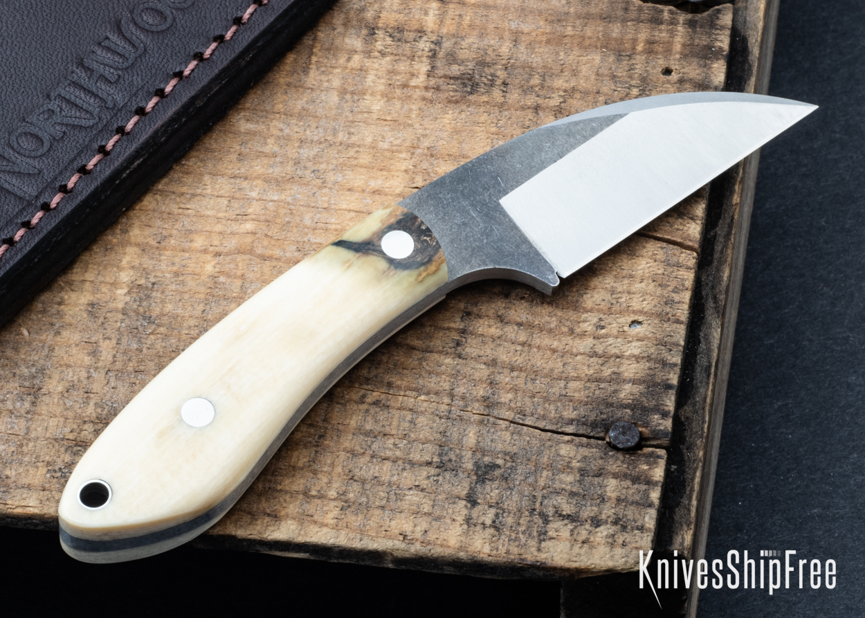 Mammoth Ivory - NW05DI030 (Back)