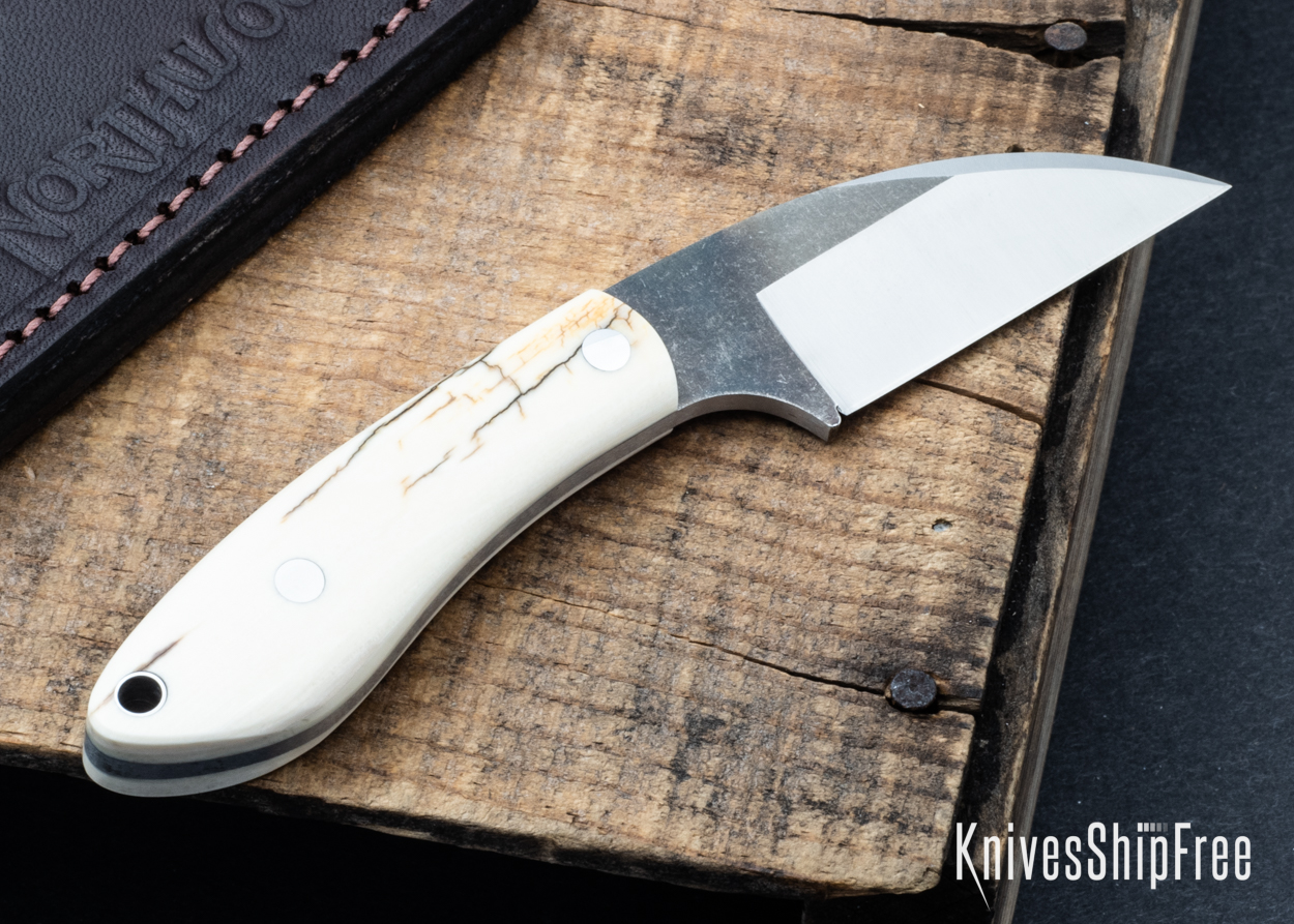 Mammoth Ivory - NW05DI032 (Back)