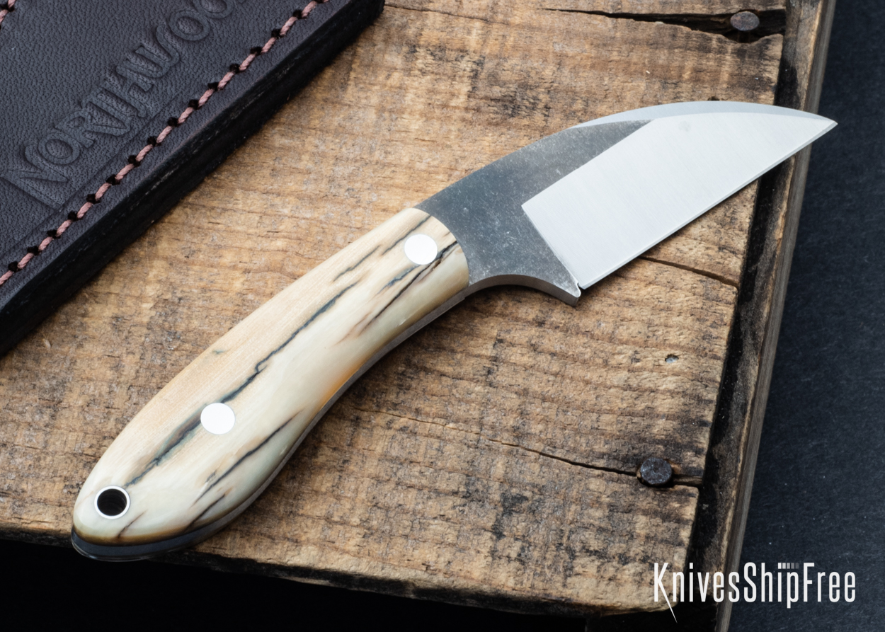 Mammoth Ivory - NW05DI037 (Back)