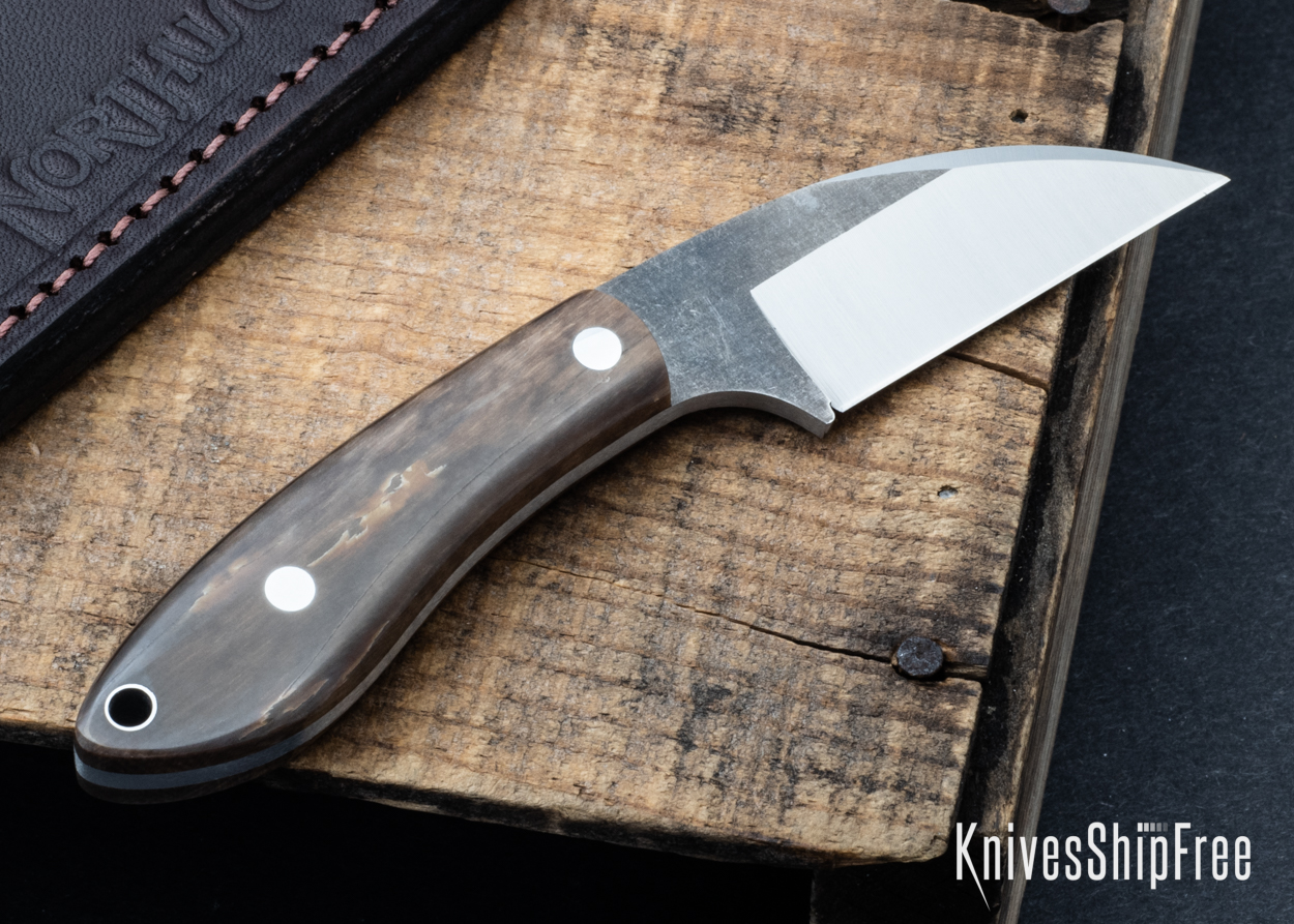 Mammoth Ivory - NW05DI004 (Back)