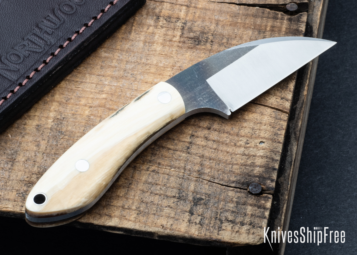 Mammoth Ivory - NW05DI040 (Back)