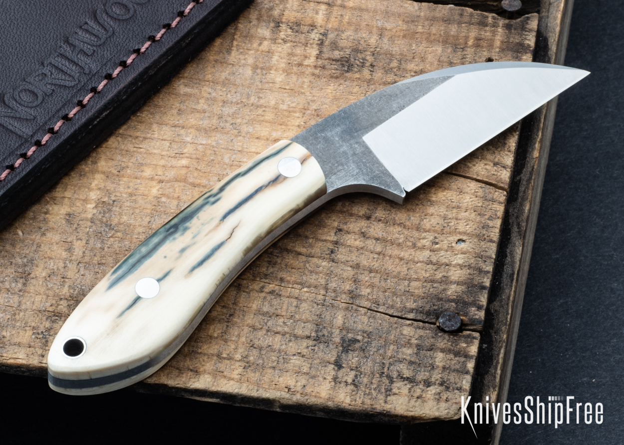 Mammoth Ivory - NW05DI041 (Back)