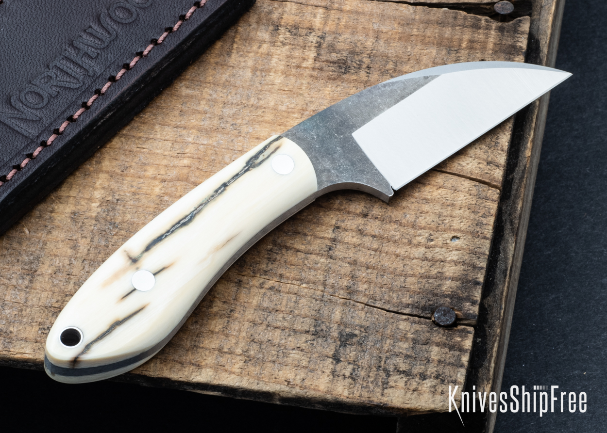 Mammoth Ivory - NW05DI043 (Back)