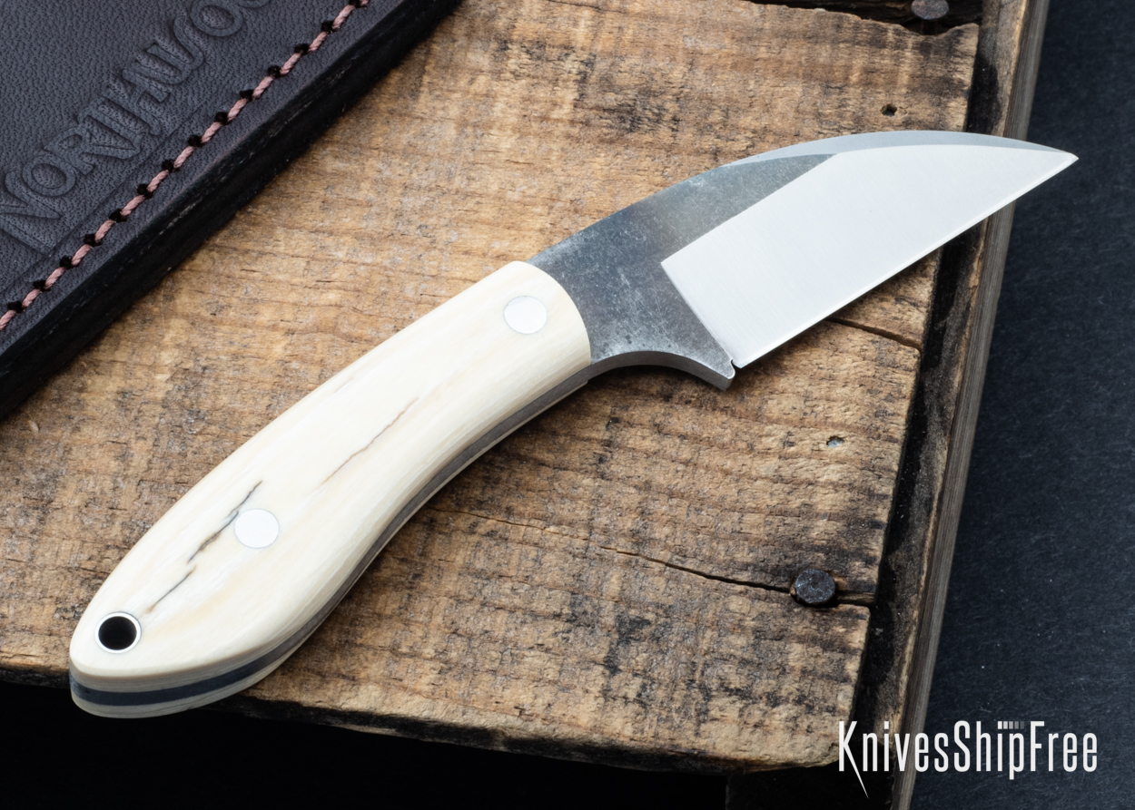 Mammoth Ivory - NW05DI007 (Back)