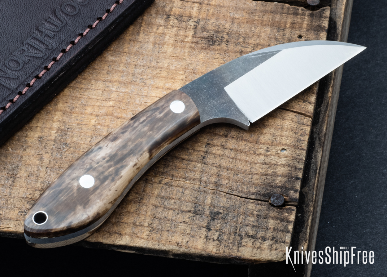 Mammoth Ivory - NW05DI008 (Back)