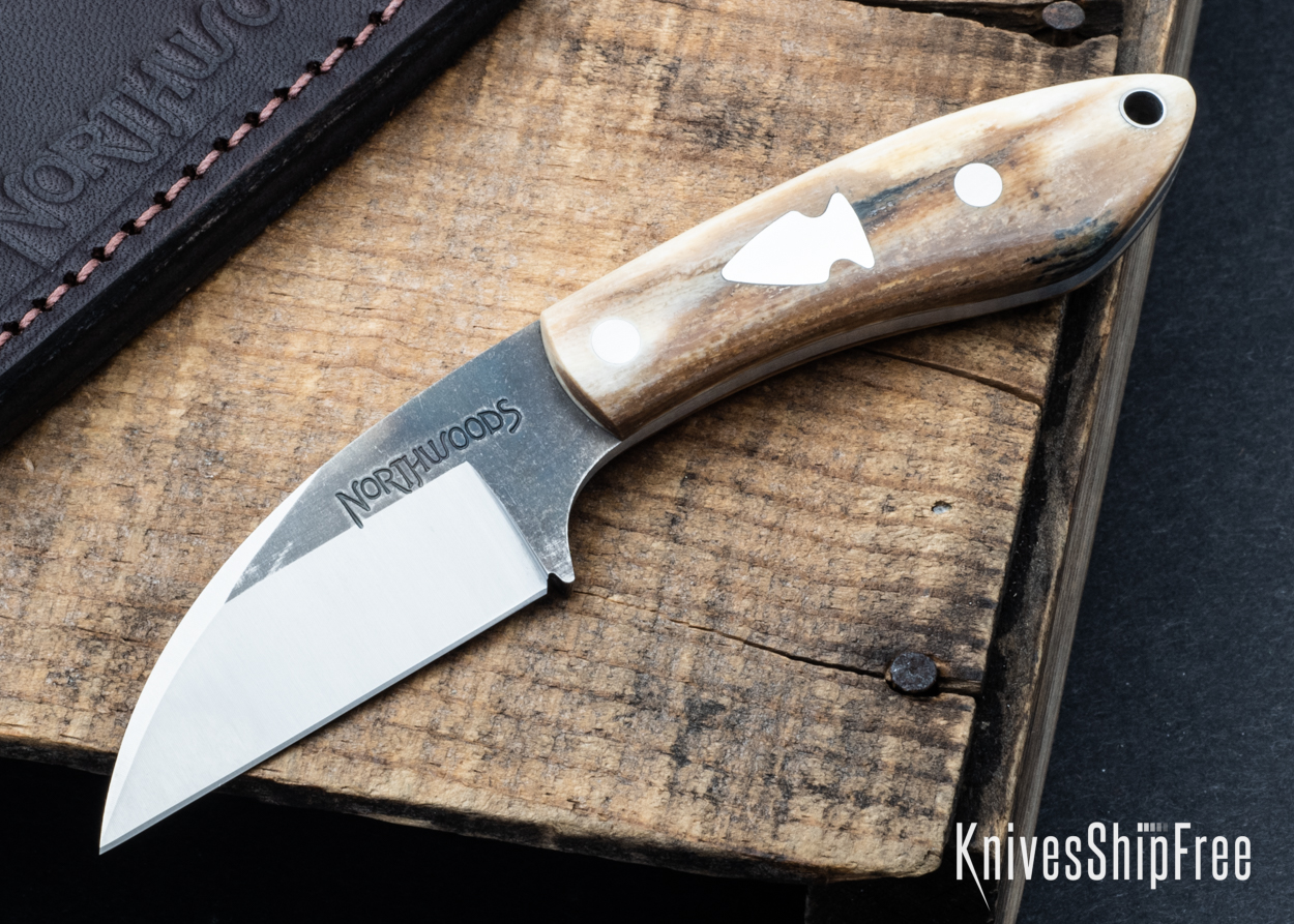 Mammoth Ivory - NW05DI013 (Front)