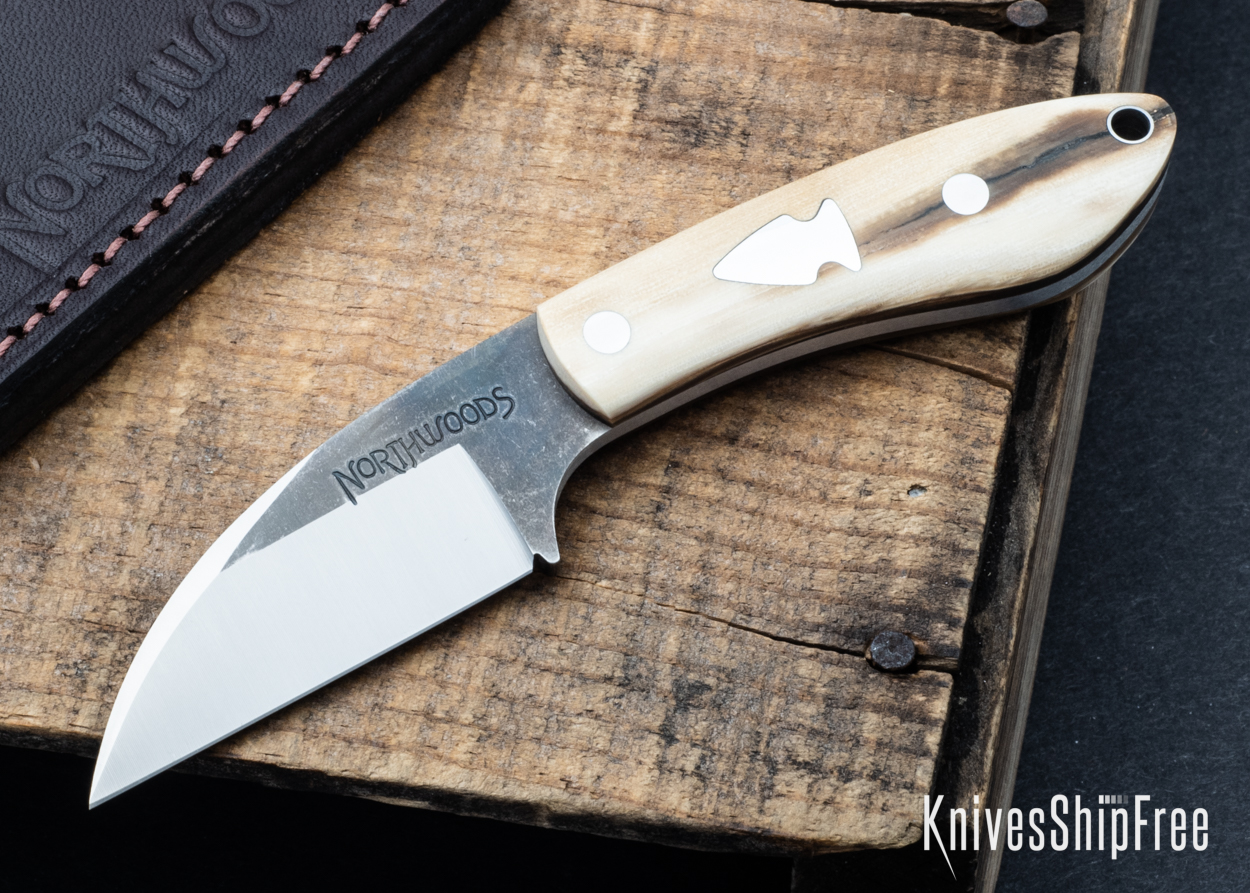 Mammoth Ivory - NW05DI022 (Front)